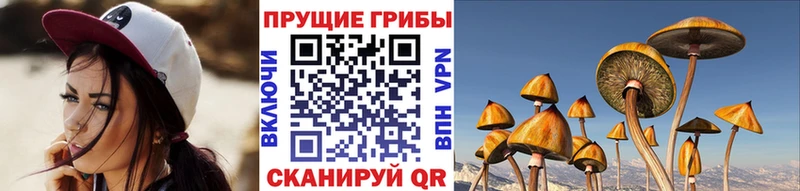 Псилоцибиновые грибы GOLDEN TEACHER  Купить где  Рубцовск 